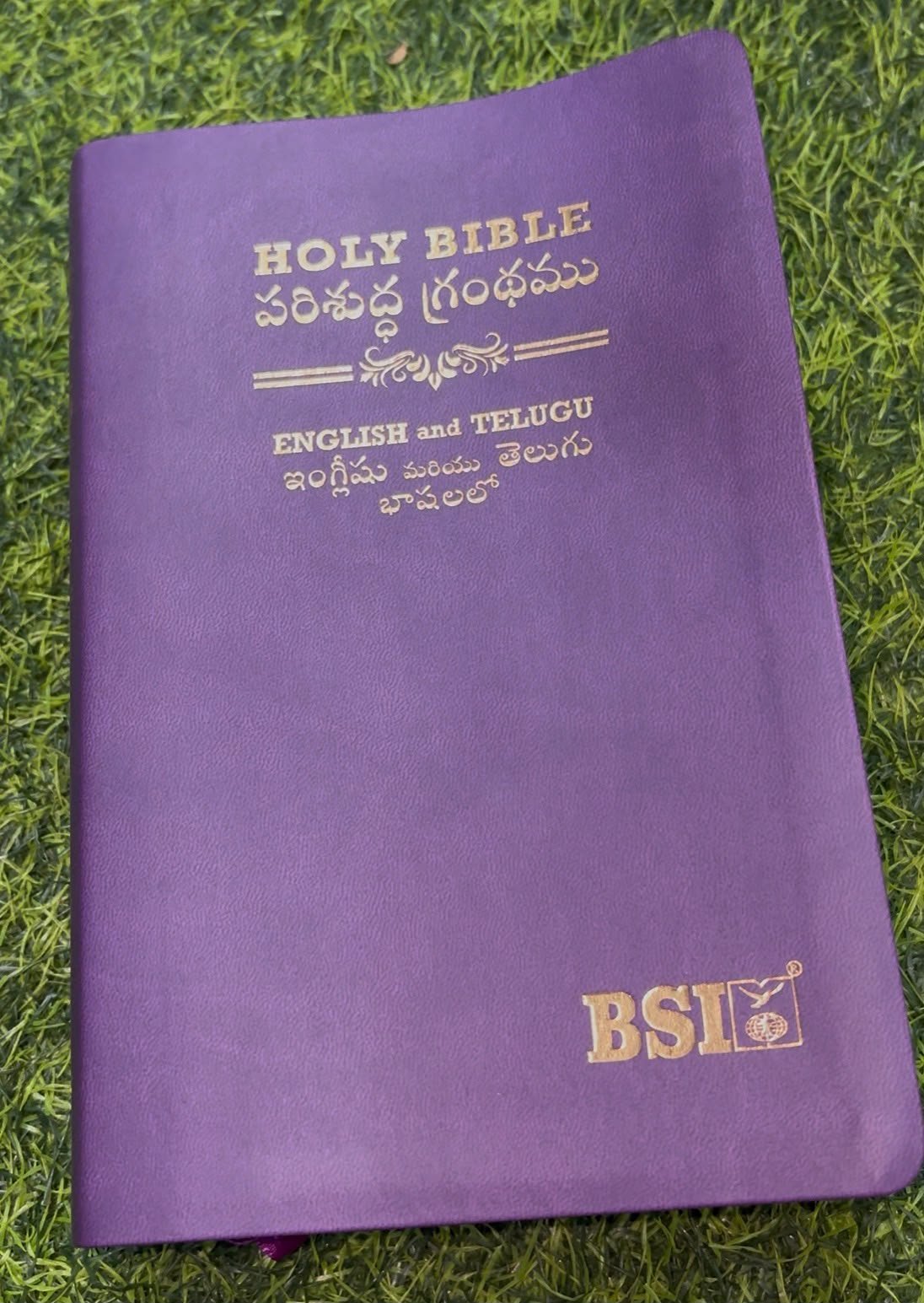 Purple English and telugu bilingual bibile